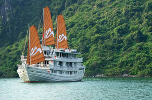 Paradise Luxury Cruises (Strongly recommeded )