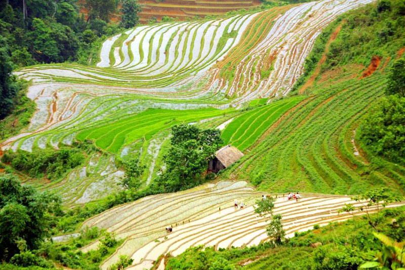 SP5 : Lao cai – Can Cau Hill Tribe Market ( Saturday )– Sa Pa Trek (3 days 2nights)